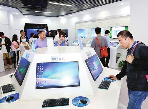 种好梧桐树，引得凤凰来 以软件开发与信息技术咨询服务为核心，打造总部经济新高地